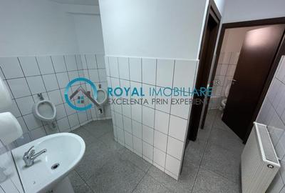 Royal Imobiliare - inchirieri birouri zona centrala - 14