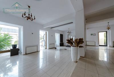 Spatiu Comercial/Showroom 380 mp utili, Terasa 75 mp, Zona Aradul Nou, Arad - 4