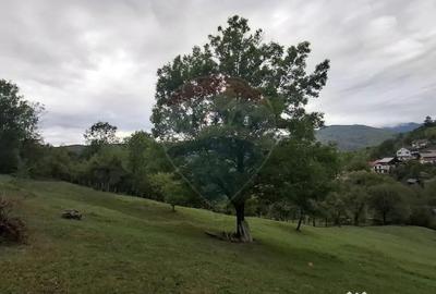 Teren de 4000 mp, în Moroeni - 9