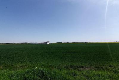 Teren de 9313 mp, în 1 Decembrie - 4