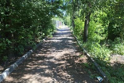 Casă cu 5 camere cu Teren 3000 Mp în Central - 8