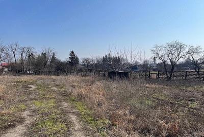 Casă cu Teren 7800 Mp în Ibănești - 6