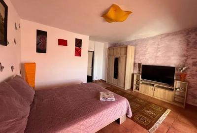 Apartament cu 1 camera, decomandat, zona Podu Ros-Gara Internationala - 2