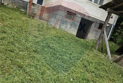 Casă individuală cu 2 camere cu Canalizare în Iapa - 2