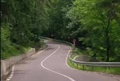 Teren de 5000 mp, în Brăești - 3