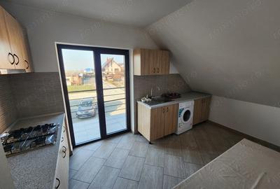 Casă cu 2 camere în Sânandrei - 2