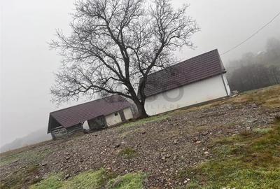 Casă cu 3 camere cu Teren 21984 Mp în Făgetu - 7