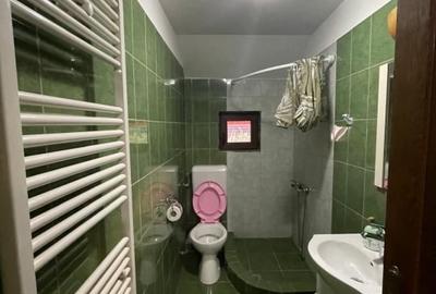 Pensiune functionala de vanzare, cu 6 camere, 200 mp, zona Firiza-Izvoare - 19