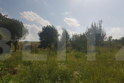 Teren intravilan Campenesti, 11600 mp, 43 ml front, pentru a - 3