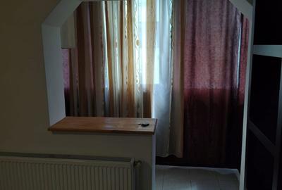 Garsonieră semidecomandată în Vișina - 1