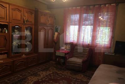 Apartament in asociatie cu gradina, garaj, zona Unirii - 8