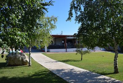 Conac lac Snagov cu ponton - 5