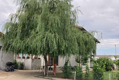 Vilă spectaculoasă – 249 mp utili, teren 881 mp, dotări premium, mobilata - 30