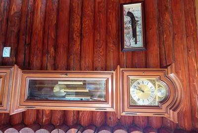 Casă cu 4 camere cu Teren 6240 Mp în Valea Mare - 1