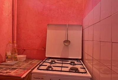 Apartament 2 camere de vanzare, zona Dambovita - 15