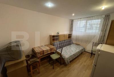 Garsoniera de vanzare, 20 mp, Calea Severinului - 2