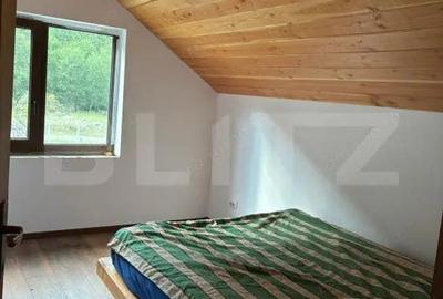 Cabana Valea Draganului 70 km de Cluj, 5 dormitoare, izvor in curte - 10