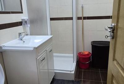Apartament cu 2 camere în Valea Borcutului - 7