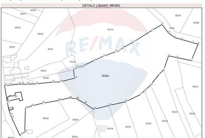 Teren si casa de vanzare la baza muntelui Iezer in Valea Mare Pravat - 4