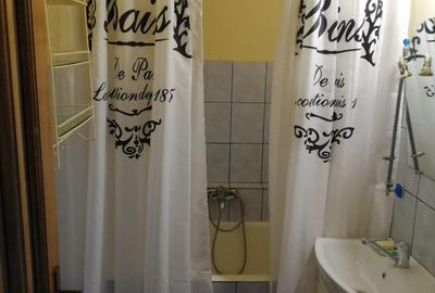 2 camere, Deva-Casa de Cultura, Centrala proprie, 270E/luna - 9