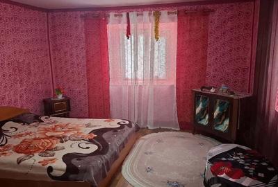 Casă cu Teren 3000 Mp în Căscioarele - 2