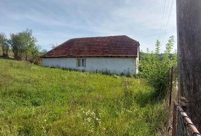 Vand casa cu 5 camere - 2