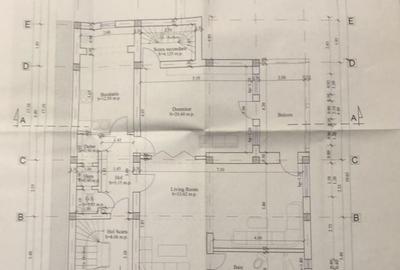Cotroceni Arenele BNR Mihail Mirinescu Vila pentru birou sau rezidenta - 5