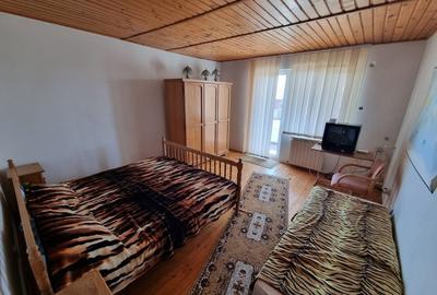 Ovidiu-vila D+P+1+M libera aproape de lac - 21