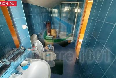 Casa, Baia Sprie, suprafata utila 211 mp, teren 1855 mp, comision 0 - 12