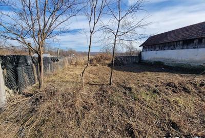 Teren Construcții intravilan de 1400 mp, în Telești - 1