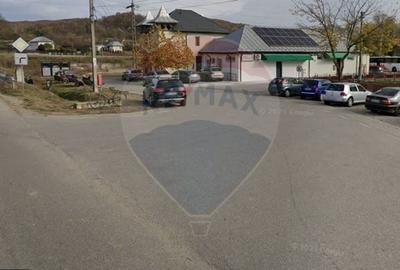 Spatiu comercial central Valea Lunga-Cricov de vanzare 2300 mp teren - 6
