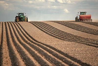 Teren agicol Buzau 127 ha comasare 60% Teren agicol Buzau 127 ha comasare 60% - 1