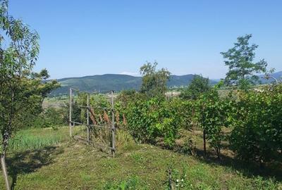 Casă cu 4 camere în Valea Nucului - 7