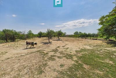 Casă individuală cu 6 camere cu Teren 2712 Mp în Central - 21