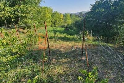 Teren intravilan de 1717 mp, în Beceni - 5