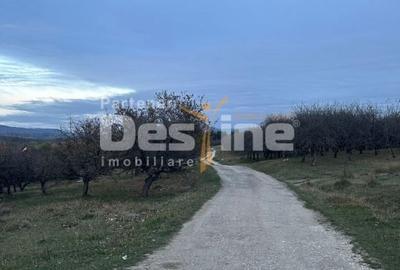 Teren Construcții intravilan de 34485 mp, în Autogară - 5