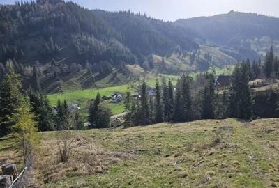 Spațiu comercial, în Pojorâta - 8