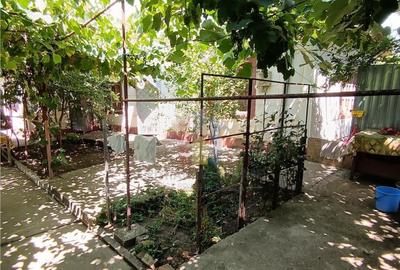 Casa de vacanta, Cazasu cu suprafata generoasa teren 824mp - 7