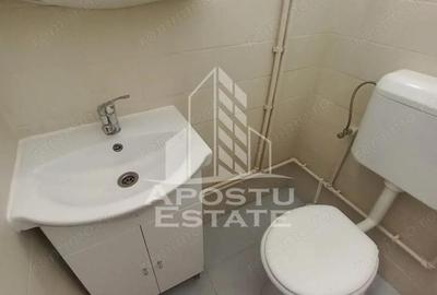 Spat?iu comercial de i^nchiriat Aurel Vlaicu - 5