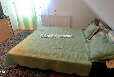 Casă cu 5 camere cu Teren 2396 Mp în Preutești - 13