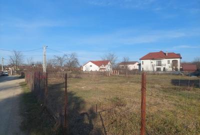 Teren Construcții intravilan de 1570 mp, în Mogoșoaia - 7