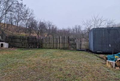Vila P+E si teren intravilan 1,5Ha,cu zavoi+iaz,lac peste si livada-investitie - 4