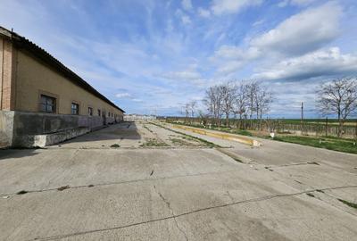 Spațiu comercial, în Medgidia - 4