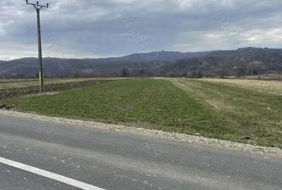 Teren de 3145 mp, în Mănăstirea Cașin