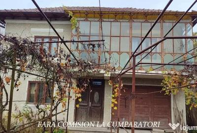 Casă cu 4 camere cu Teren 1730 Mp în Mihăești - 15
