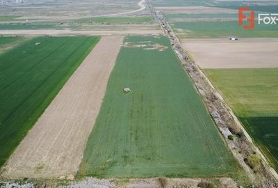 Teren agricol extravilan de 10200 mp, în Giroc