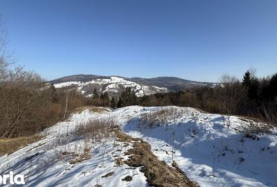 Teren de 21053 mp, în Vama - 6