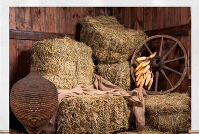 Film&Tur! Domeniu pe 222.000mp+ Ferma +Anexe specifice+Constructie+
rezidential - 6