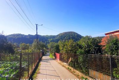 VLADESTI - TEREN 1174 MP - 3