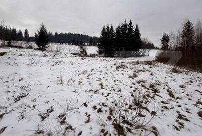Teren de 10746 mp, în Fundu Moldovei - 1